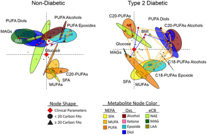 Spearman’s correlations were used to generate multi-dimensionally scaled parameter connectivity networks for variable intercorrelations. Networks were oriented with fasting glucose at the origin and SFA in the lower right quadrant. Colored ellipses represent the 95% probability locations of metabolite classes (Hoettlings T2, p<0.05). Nodes indicate clinical parameters (diamonds), <20-carbon fatty acid metabolites (circles) and ≥20-carbon fatty acid metabolites (triangles), with discriminant model variables and glucose enlarged. Significant correlations between species are designated by orange (positive) or blue (negative) connecting lines (p<0.05, non-diabetic; p<0.01, diabetic participants).